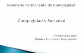 Complejidad y Sociedad - FCA - UNAMinvestigacion.fca.unam.mx/seminarios/complejidad/docs/complejidad... · indiferencia semántica de lo social”,la metateoría (la teoría de la