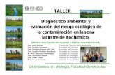 TALLER Diagnóstico ambiental y evaluación del riesgo ...biologia.fciencias.unam.mx/web/ecol/PresentacionTaller2010b.pdf · Diagnóstico ambiental y evaluación del riesgo ecológico