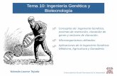 Tema 10: Ingeniería Genética y Biotecnologíamanipulaciongenetica.weebly.com/uploads/3/2/2/6/32263231/ingenie… · Aplicaciones de la clonación animal Mejoramiento genético Conservación