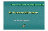 El Proceso BolivianoEl Proceso Boliviano · color crema y corazón colorado. Hojas compuestas con hojuelas de color verde oscuro, con brillo. Flores pequeñas de color amarillo-crema,