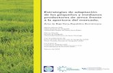 Estrategias de adaptación de los pequeños y medianos ... de adaptacion Bajo... · Malezas, plagas y vaneamiento de la espiga del arroz: Casi la mitad de los respondientes, 29 de