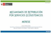 MECANISMOS DE RETRIBUCIÓN POR SERVICIOS … · de Mecanismos de Retribución por Servicios Ecosistémicos Son los beneficios económicos, sociales y ambientales, directos e indirectos