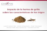 Impacto de la harina de grillo sobre las características ... · Los insectos (grillos, gusanos de harina, saltamontes …) y las harinas que provienen de estos son: - ricos en proteinas,