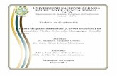 UNIVERSIDAD NACIONALAGRARIA FACULTAD DE CIENCIA …repositorio.una.edu.ni/1462/1/tnl01s164.pdf · manejo, parámetros productivos y reproductivos y enfermedades que los afectan. Entre