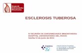 Esclerosis tuberosa - fesemi.org · • Con la excepción de la ausencia de convulsiones (antes denominado petit mal), en los pacientes con ET se producen todos los tipos de convulsiones