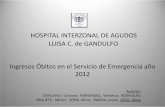 HOSPITAL INTERZONAL DE AGUDOS LUISA C. de GANDULFO ...higagandulfo.com.ar/adjuntos/trabajo_jornada2013/obitosemergencia.pdf · LARINGO TRAQUEO BRONQUITIS AGUDA 01/09 90744 Unid. de