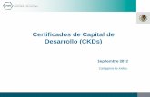 Certificados de Capital de Desarrollo (CKDs) · activos, bienes o derechos afectos al fideicomiso emisor. Otorgan a sus tenedores derechos sobre los frutos y/o productos de las inversiones