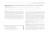 monográﬁco: ecografía urológica - SciELO Españascielo.isciii.es/pdf/urol/v59n4/original10.pdf · tata, sus límites, alteraciones estructurales y morfológi-cas y relaciones