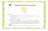 6 Menstruación - hivguatemala.weebly.comhivguatemala.weebly.com/uploads/5/5/2/6/5526002/6menstruacin_final... · Primero, entregue una copia de la libreta a cada una de ellas. Recorte