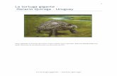 1 La tortuga gigante Horacio Quiroga - Uruguay - danuela.dk tortuga gigante-texto y ejercicios.pdf · El hombre enfermo aceptó y se fue a vivir al monte, lejos, donde hacía mucho