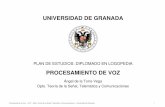 UNIVERSIDAD DE GRANADA - ugr.esatv/PVL/transpa_proc_voz_2007_tema5.pdf · Procesamiento de Voz – ATV – Dpto. Teoría de la Señal, Telemática y Comunicaciones – Universidad