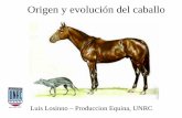 Origen y evolución del caballo - produccion-animal.com.arproduccion-animal.com.ar/produccion_equinos/curso_equinos_I/02-origen... · Origen y evolución del caballo Años Género