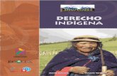 DERECHO - site.inali.gob.mx · Aspectos generales: definiciones y principios. 5 Derecho Indígena 6 La realidad del derecho indígena en Ecuador. 7 La educación intercultural como