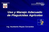 Uso y Manejo Adecuado de Plaguicidas Agrícolasagroaldia.minagri.gob.pe/biblioteca/download/pdf/videoconferencias/... · cultivo hasta los ríos y mares donde se introducen en las