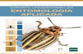 EXPERTO UNIVERSITARIO EN ENTOMOLOGÍA APLICADA · de insectos de visu, la identificación de estructuras de su anatomía externa y la adquisición de conocimientos acerca de la importancia