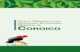 C O DEL G COROICO · Vecinos Santa Rosa de Quilo Quilo, OTB Nº 1 (Urbano Coroico), Asociación de Gre-miales, Asociación de Hortalizas, Central Agraria 16 de Enero-Mujeres, Subcentral