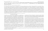Cladosporium colocasiae K. Sawada identificado en lesiones ... · de la yautía coco (Colocasia esculenta L. Schott) en la República Dominicana Socorro García1 y Juan de Dios Moya2