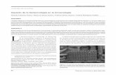 Artículo de revisióneprints.uanl.mx/8461/1/Impacto de la biotecnologia en la inmunologia.pdf · en los sectores agropecuario, alimentario, farmacéutico, industrial, ecológico,