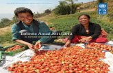 Informe Anual 2011/2012 · Pnud inForme anual 2011/2012 1 El PNUD EN aCCIóN el año 2011 será recordado por los levantamientos y transiciones que tuvieron lugar en la región de