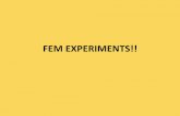 FEM EXPERIMENTS!! - web2.udg.eduweb2.udg.edu/ice/jornades_tic2/presentacions/FEM_EXPERIMENTS_4.pdf · Ampolla de plàstic Aigua Arrò s Sac per amagar els objectes Ordinador Paper