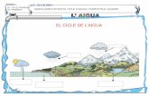 EL CICLE DE L’AIGUAdidacticaescola.com/wp-content/uploads/2016/02/LAIGUA-2n-i-3r-CICLE.pdf · Per formar l’aigua es necessiten dos àtoms d’hiidrogen i un d’oxigen. Una molècula