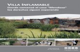 ILLA INFLAMABLE · Urbanización de Villas y Asentamientos Precarios (PUVA), en tanto Villa Inflamable fue identificada como una de los barrios que se halla en situación más crítica,