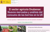 El sector agrícola Onubense: Nuevos mercados y análisis ... · SUBDIRECCIÓN GENERAL DE FRUTAS Y HORTALIZAS Y VITIVINICULTURA El sector agrícola Onubense: Nuevos mercados y análisis