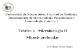 Teórico 4 - Microbiología II Micosis profundas³rico (V2... · Micosis profundas Conocer de las ... Es un micosis profunda granulomatosa y supurativa del hombre y los mamíferos