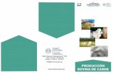 PRODUCCION BOVINA DE CARNE - senacsa.gov.pysenacsa.gov.py/application/files/4414/7629/4856/SENACSA-Producc… · Es importante suministrar sales minerales a los bovinos, éstas complementan