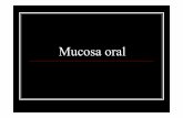 Mucosa oral - histouss.files.wordpress.com · MUCOSA BUCAL. Esta integrada por dos capas: - Una capa superficial constituida por tejido epitelial: el epitelio. - Una capa subyacente
