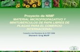Proyecto de NIMF - IPPC · vitro, deberían cultivarse por un ciclo completo, inspeccionarse y determinarse libres de plagas –para material candidato infestado con plagas, pueden