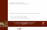 PLANTA DE PRODUCCIÓN DE PELLETS - Universidad de Sevillabibing.us.es/proyectos/abreproy/91415/fichero/merged(1).pdf · madera, su implantación y el estudio de la viabilidad de ejecución
