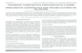 Z5 Traumatic constructive pericarditis - SciELO Colombia · 295 Reporte de caso Oviedo S., T.; Oviedo P., M.; Martínez A., J.R.: Constructive pericarditis in equine The anatomopathological