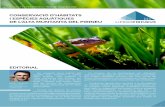 CONSERVACIÓ D’HÀBITATS I ESPÈCIES AQUÀTIQUES DE L’ALTA … · 2018-06-05 · ELS AMFIBIS DELS ESTANYS DEL PIRINEU Delicades peces de l’ecosistema E ls amfibis són el grup