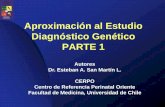 Aproximación al Estudio Diagnóstico Genético …cerpo.cl/_items/File_002_00612_0013.pdf• Los cariotipos se pueden informar presentando todos los pares cromosómicos ordenados