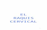 EL RAQUIS CERVICAL · Web viewel tratamiento del raquis cervical y de sus varios grados lesionales desde la disfunción somática hasta la fractura, pasando por el esguince y la luxación.