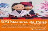 Biblioteca CAI Mariano de Pano · 2019-09-30 · Revista Biblioteca CAI Mariano de Pano • Dr. Val-Carreres Ortiz, 12 • 976 290 521 • biblioteca@fundacioncai.es diferentes países,
