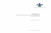 Aspectos Generales de la Contabilidad Gubernamental · 2013-01-25 · Capítulo I. Aspectos Generales de la Contabilidad Gubernamental Secretaría de Administración y Finanzas pág.