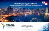 NICSP: Progresos y planes futurosfocal.red/sites/default/files/2017-08/5 16Ago-11... · • Información de segmentos (NICSP 18): Utilidad y disponibilidad de información Costo-Beneficio