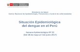 Situación Epidemiológica del dengue en el Perú · 2017-06-09 · Grupo Técnico de enfermedades metaxénicas y Zoonoticas Situación epidemiológica del zikaen el Perú 2017 (*)