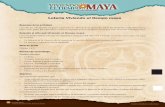 Lotería Viviendo el tiempo mayamaya.nmai.si.edu/sites/default/files/resources/lesson...2 • identificar elementos de la cultura maya • identificar el sistema de números mayas