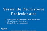 Sesión de Dermatosis Profesionales · Dermatosis profesionales • “Toda afectación de la piel o mucosas o anexos, directa o indirectamente causada, condicionada, mantenida o
