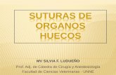 SUTURAS DE ORGANOS HUECOS · 2016-05-27 · Sutura de inversión Indicada para cierre de muñones u orificios producidos por agujas o trócares, para fijar cánulas permanentes SUTURAS