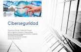 Ciberseguridad - Universidad Nacional De Colombiapensamiento.unal.edu.co/fileadmin/recursos/focos/... · usuario final IP 4 Evaluación continua de vulnerabilidades & remediación