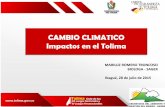 CAMBIO CLIMATICO Impactos en el Tolima · actual de la atmósfera y la evolución de sus procesos en las siguientes horas y días (máximo 15 días) ... ESTRATEGIAS DE ADAPTACIÓN