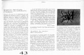 Libros · 2019-11-14 · ellos hayan sido concebidos como "notas" para la tercera página de uno-de tantos diarios italianos). 43 Libros Si la literatura es esa llave que intenta
