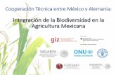 Cooperación Técnica entre México y Alemania: Integración ... · Componentes del proyecto Objetivo: Estudio de la Economía de los Ecosistemas y de la Biodiversidad, Agricultura
