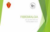 FIBROMIALGIA - AMEPSAamepsa.org/docs/amepsa2b.pdf · años, aproximadamente 7% de las mujeres tienen fibromialgia La fibromialgia ocurre en hombres, niños y adolescentes , en todas