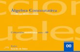 Departamento de Matemáticas - Álgebra Conmutativamatematicas.unex.es/~sancho/Asignatura. Algebra Conmutativa... · dominios de factorización única y clasiﬁcamos los Z-módulos