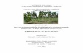 REPÚBLICA DE PANAMÁ PLAN DE ... - Panama Teak Forestry · Anexo 6: Certificación de la Sociedad Panama Teak & Forestry, Inc. Anexo 7: Certificación de las Propiedades de Panama